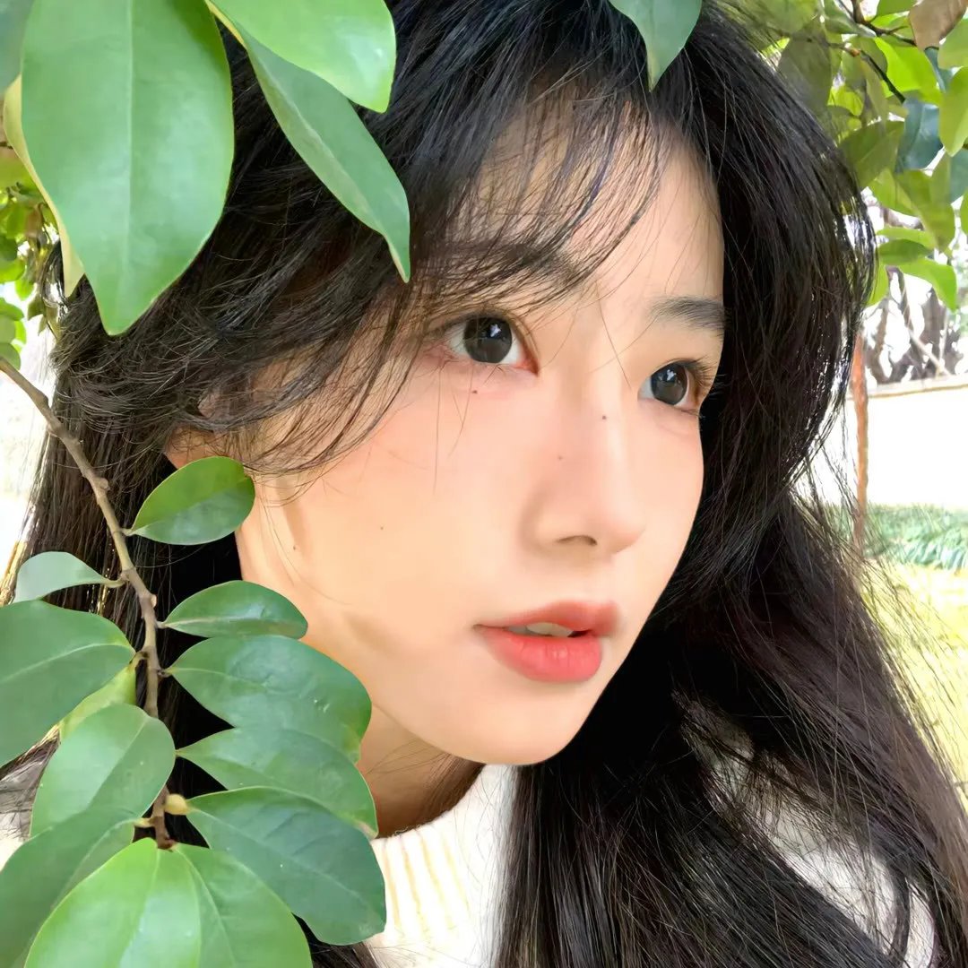 大唐迷雾